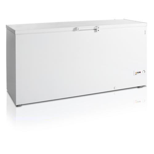Морозильна скриня FR605 SL Tefcold купить онлайн №1