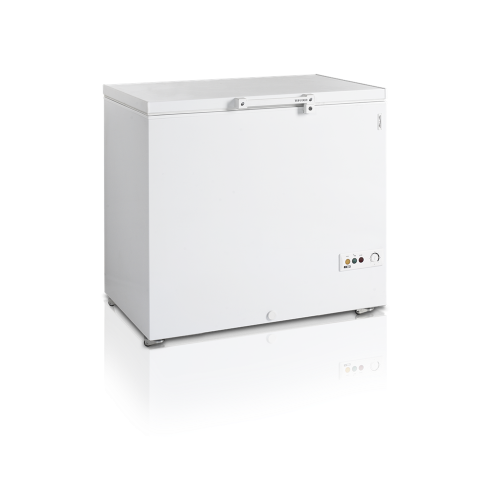 Морозильна скриня FR305 SL Tefcold купить онлайн №1