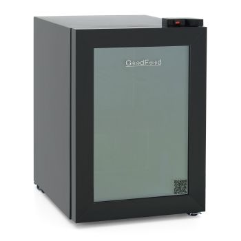 Шафа морозильна GoodFood GF-UF60GD